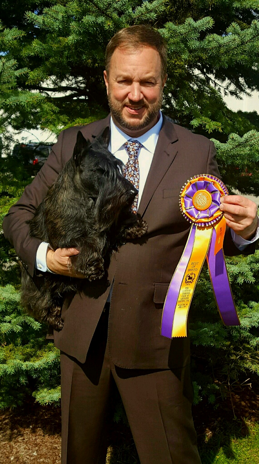 Calvin after Best in Specialty Show (BISS) win in Dayton